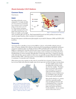 Acacia Lasiocalyx C.R.P. Andrews Common Name Habit Taxonomy