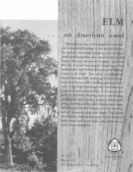 Elm (A), Slippery Elm (B), Rock Elm (C), Winged Elm (D)