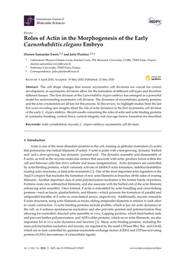 Roles of Actin in the Morphogenesis of the Early Caenorhabditis Elegans Embryo