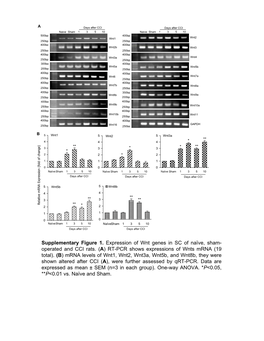 Supplementary Figure 1. Expression of Wnt Genes in SC of Naïve