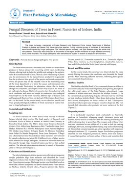 Fungal Diseases of Trees in Forest Nurseries of Indore, India