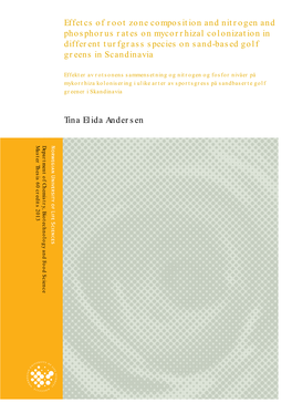 Effetcs of Root Zone Composition and Nitrogen and Phosphorus Rates On