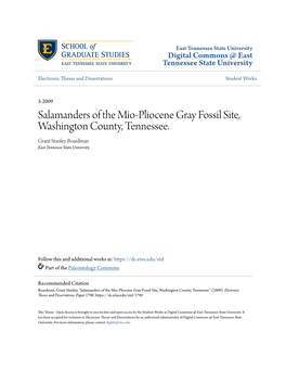Salamanders of the Mio-Pliocene Gray Fossil Site, Washington County, Tennessee