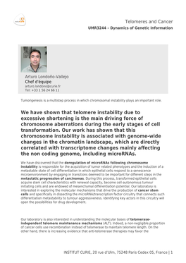 We Have Shown That Telomere Instability Due to Excessive Shortening Is the Main Driving Force of Chromosome Aberrations During the Early Stages of Cell Transformation