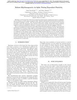 Robust Rhythmogenesis Via Spike Timing Dependent Plasticity