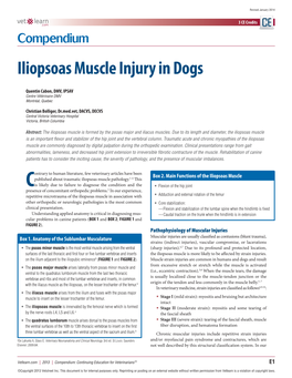 Iliopsoas Muscle Injury in Dogs