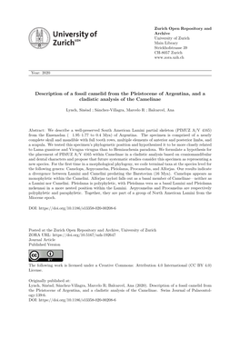 Description of a Fossil Camelid from the Pleistocene of Argentina, and a Cladistic Analysis of the Camelinae