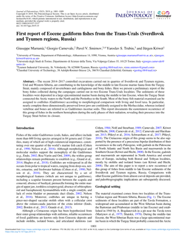 First Report of Eocene Gadiform Fishes From