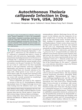 Autochthonous Thelazia Callipaeda Infection in Dog, New York, USA, 2020 A.B
