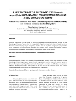 A NEW RECORD of the RHEOPHYTIC FERN Osmunda
