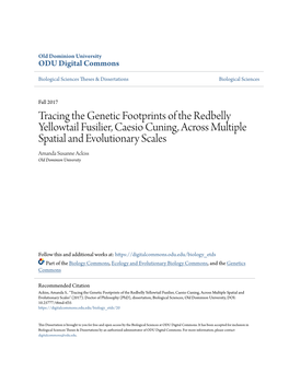 Tracing the Genetic Footprints of the Redbelly Yellowtail Fusilier, Caesio