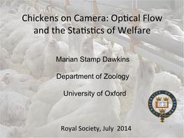 Chickens on Camera: Op�Cal Flow and the Sta�S�Cs of Welfare