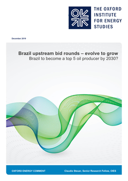 Brazil Upstream Bid Rounds – Evolve to Grow Brazil to Become a Top 5 Oil Producer by 2030?