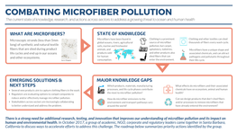 Microfiber Action Roadmap V6