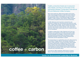 Coffee + Carbon As Far Back As 1998, Smallholder Coffee Farmers in Chiapas, Mexico, Were Already Practicing the Eco-Friendly Method Of