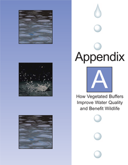 Appendix a How Vegetated Buffers Improve Water Quality and Benefit Wildlife