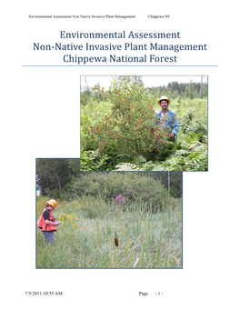 Environmental Assessment Non-Native Invasive Plant Management Chippewa National Forest