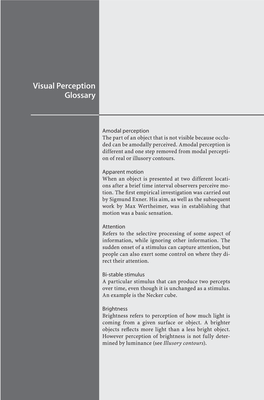 Visual Perception Glossary