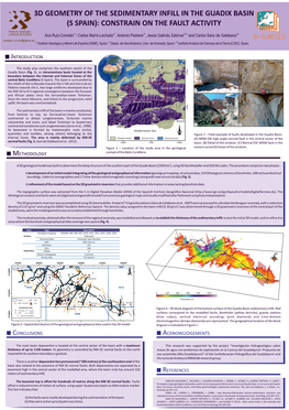 3D Geometry of the Sedimentary Infill in the Guadix Basin (S Spain): Constrain on the Fault Activity