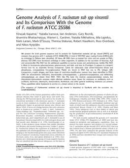 F. Nucleatum Sub Spp Vincentii and Its Comparison with the Genome of F