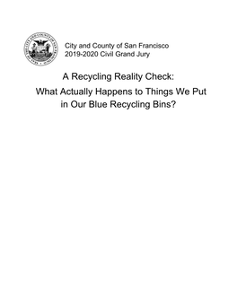A Recycling Reality Check: What Actually Happens to Things We Put in Our Blue Recycling Bins?