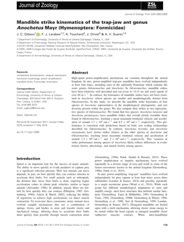 Mandible Strike Kinematics of the Trap‐