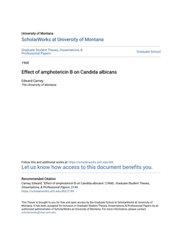 Effect of Amphotericin B on Candida Albicans