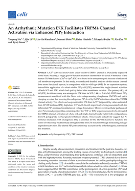 An Arrhythmic Mutation E7K Facilitates TRPM4 Channel Activation Via Enhanced PIP2 Interaction