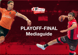 Mediaguide Playoff-Finale