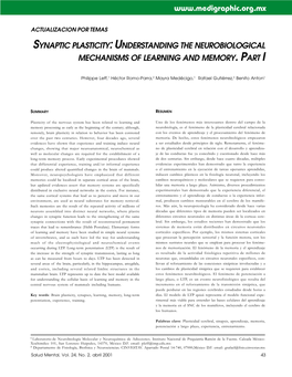 Synaptic Plasticity: Understanding the Neurobiological Mechanisms of Learning and Memory