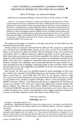 A New Leporine (Lagomorpha: Leporidae) from Wisconsinan Deposits of the Chihuahuan Desert