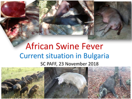 African Swine Fever Current Situation in Bulgaria SC PAFF, 23 November 2018 ADNS ASFWB Overview of the Situation 2018/1-2, Kainardzha, 23/26.10.2018
