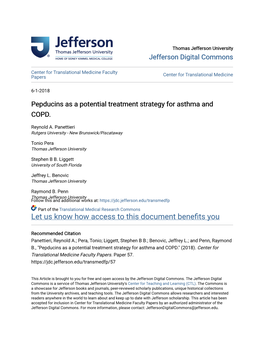 Pepducins As a Potential Treatment Strategy for Asthma and COPD