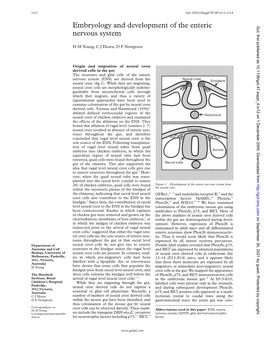 Embryology and Development of the Enteric Nervous System Iv13