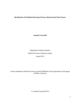 Identification of Claudin-8 Interaction Partners During Neural Tube Closure