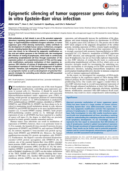 Epigenetic Silencing of Tumor Suppressor Genes During in Vitro