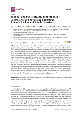 Zoonotic and Public Health Implications of Campylobacter Species and Squamates (Lizards, Snakes and Amphisbaenians)