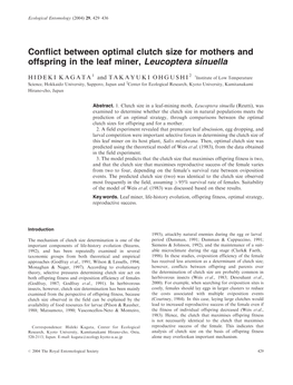 Conflict Between Optimal Clutch Size for Mothers and Offspring in the Leaf Miner, Leucoptera Sinuella