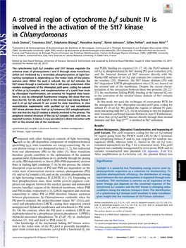 A Stromal Region of Cytochrome B6f Subunit IV Is Involved in the Activation of the Stt7 Kinase in Chlamydomonas