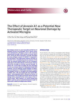 The Effect of Annexin A1 As a Potential New Therapeutic Target on Neuronal Damage by Activated Microglia