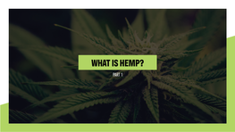 What Is Hemp Part 1.Indd