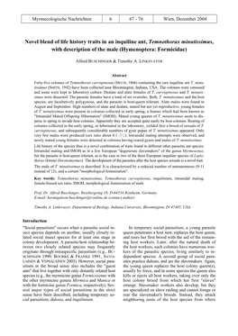 Novel Blend of Life History Traits in an Inquiline Ant, Temnothorax Minutissimus, with Description of the Male (Hymenoptera: Formicidae)