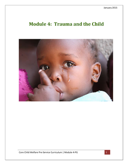 Core Child Welfare Pre-Service Curriculum | Participant Guide Module 1