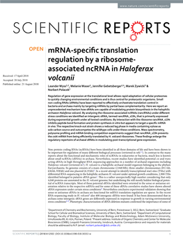 Mrna-Specific Translation Regulation by a Ribosome-Associated Ncrna In