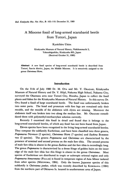 A Miocene Fossil of Long-Armed Scarabaeid Beetle from Tottori, Japan