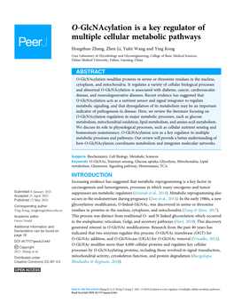 O-Glcnacylation Is a Key Regulator of Multiple Cellular Metabolic Pathways