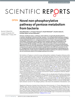 Novel Non-Phosphorylative Pathway of Pentose Metabolism from Bacteria