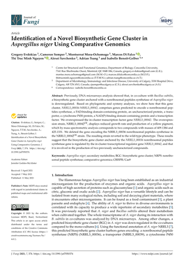 Identification of a Novel Biosynthetic Gene Cluster in Aspergillus Niger