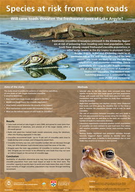 Species at Risk from Cane Toads Will Cane Toads Threaten the Freshwater Crocs of Lake Argyle?