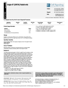 13192 Golgin-97 (D8P2K) Rabbit Mab